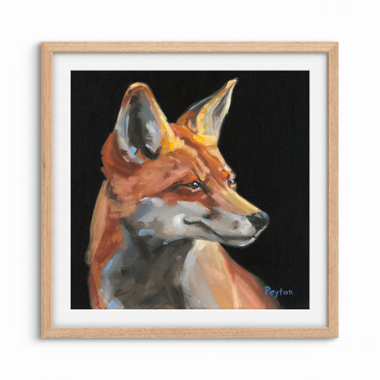 Red Fox